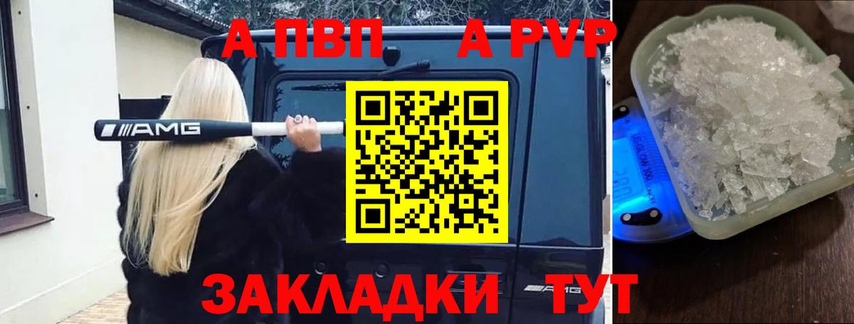 Альфа ПВП СК КРИС Славянск-на-Кубани