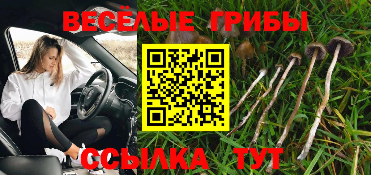 Галлюциногенные грибы Magic Shrooms Славянск-на-Кубани